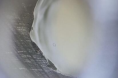 1647931690200944.jpg QQ截圖20220322144004.jpg